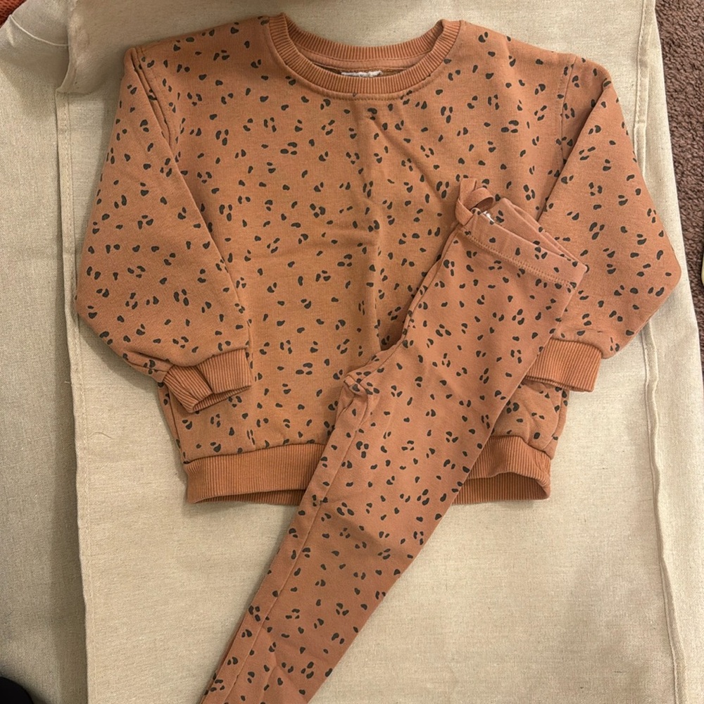 Leopard Zara Set
